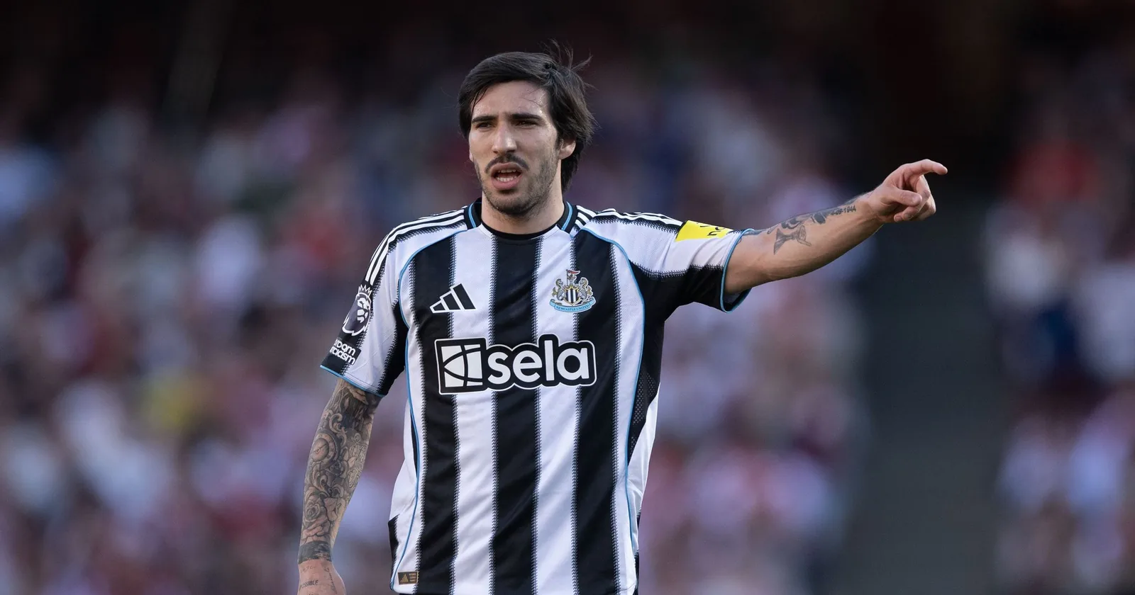Tottenham, c'è l'accordo con Tonali: si lavora all'intesa col Newcastle